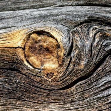 wood