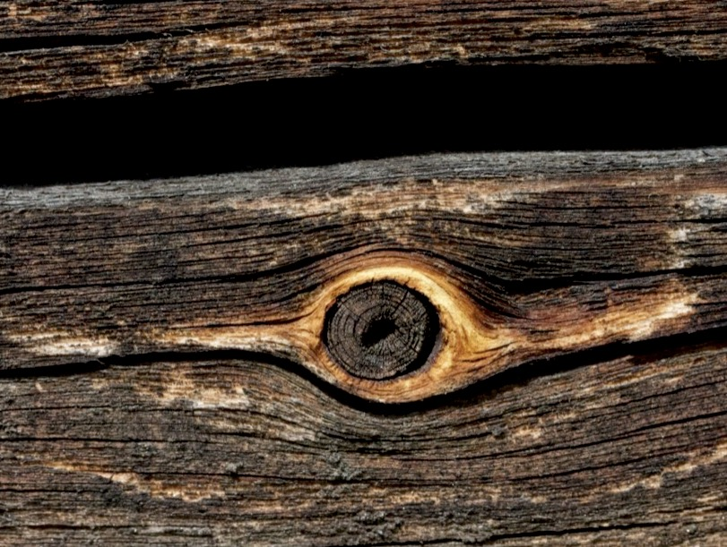 eyes