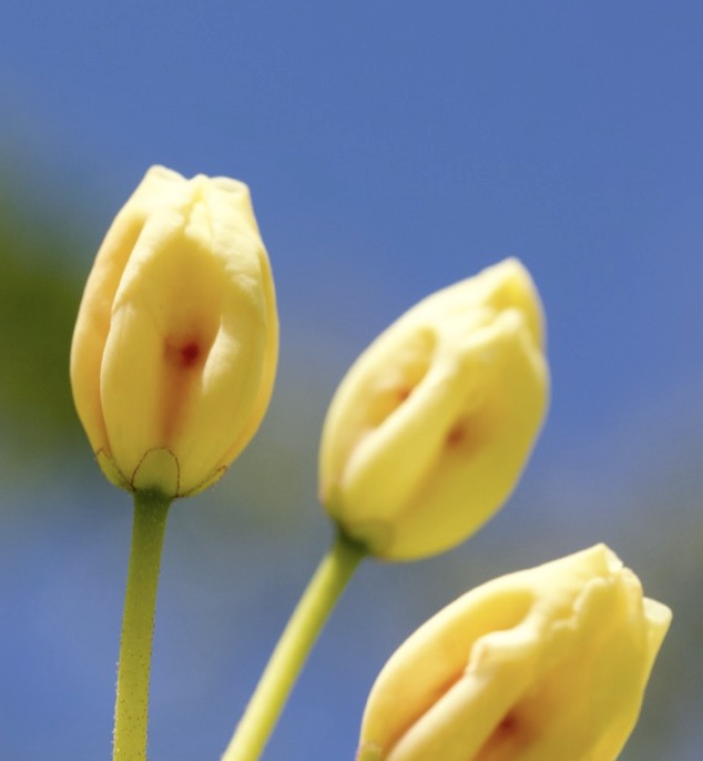three