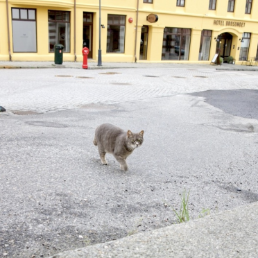 stand-off