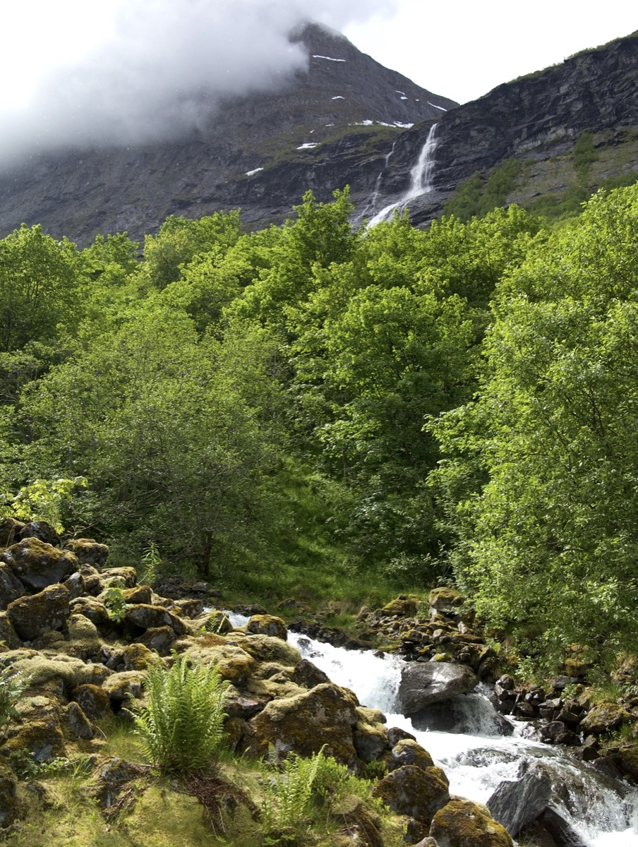 Norangsfjorden / Hjørundfjord