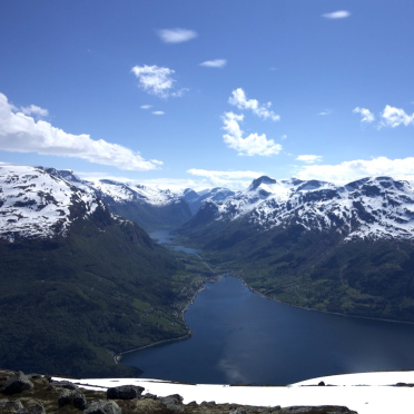 view
