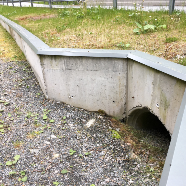 toad tunnel!