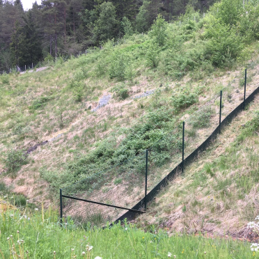 toad fence!
