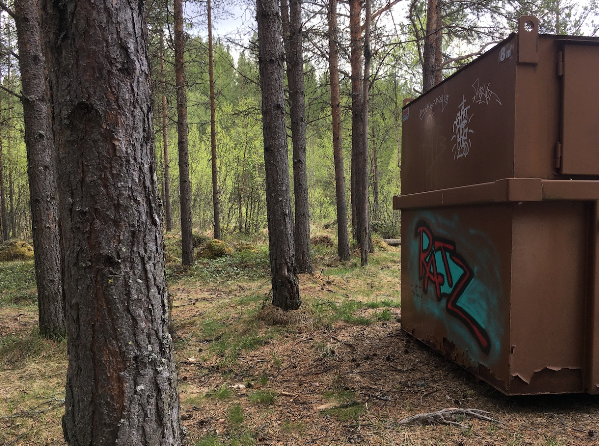 in the woods too