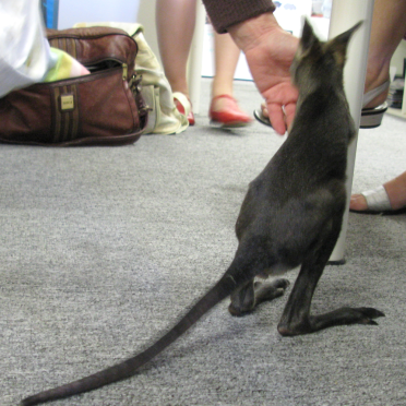 office friend