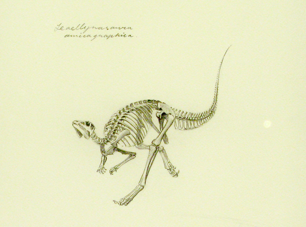 dino
