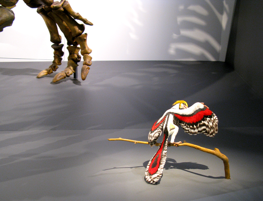 archaeopteryx