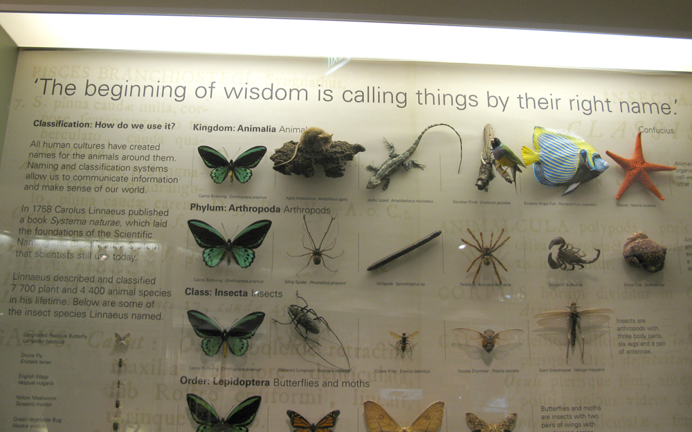 naming nature