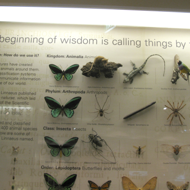 naming nature