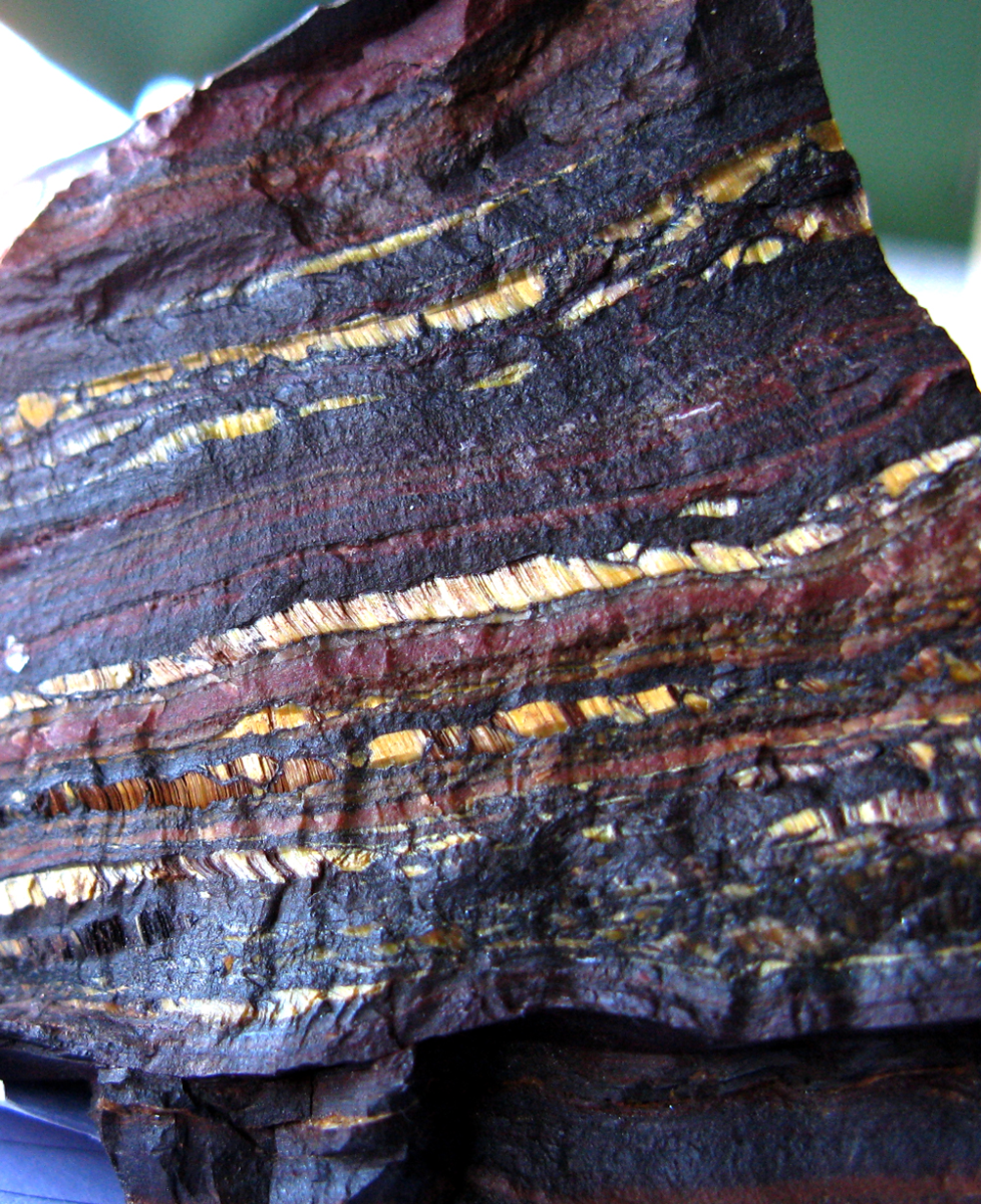 stromatolite
