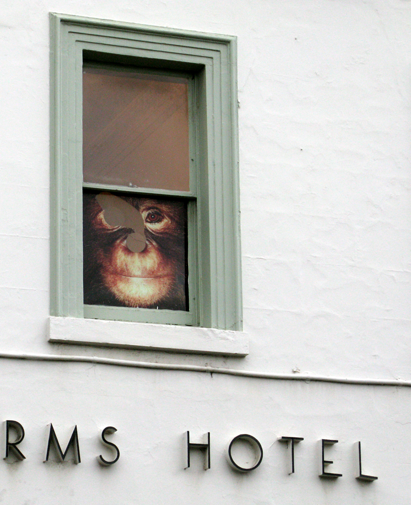 gertrude st