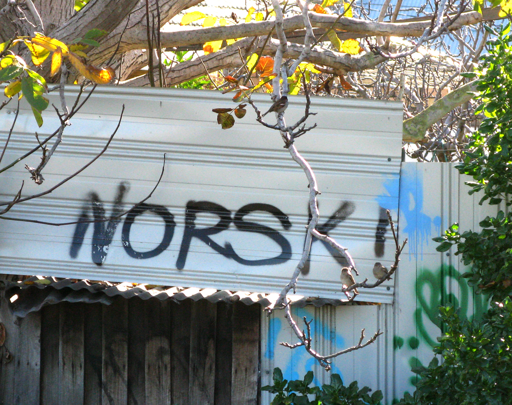 norsk