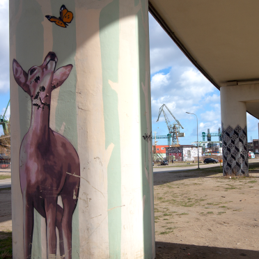 deer