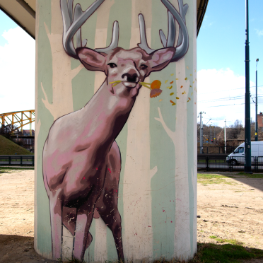 stag