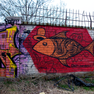 fish