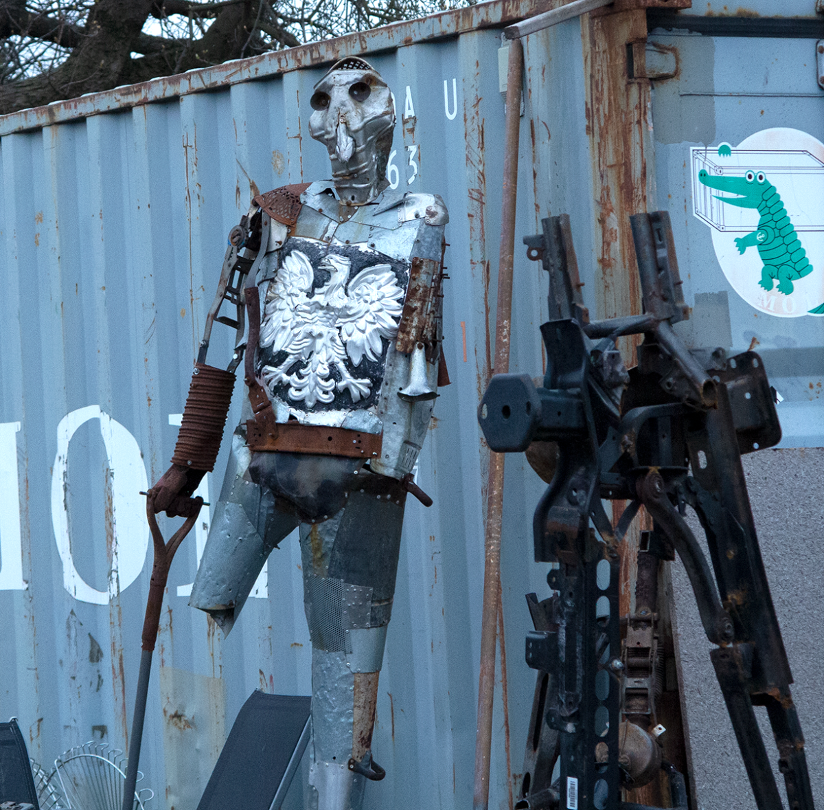 polish robot
