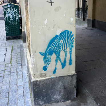 zebra
