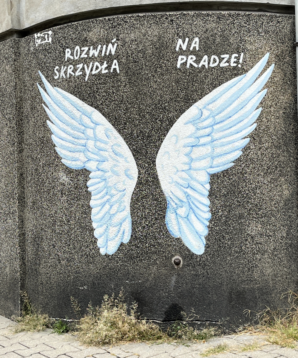 spread your wings