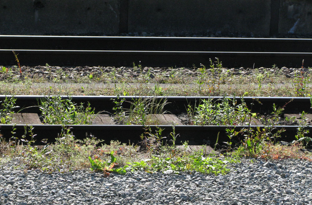rails