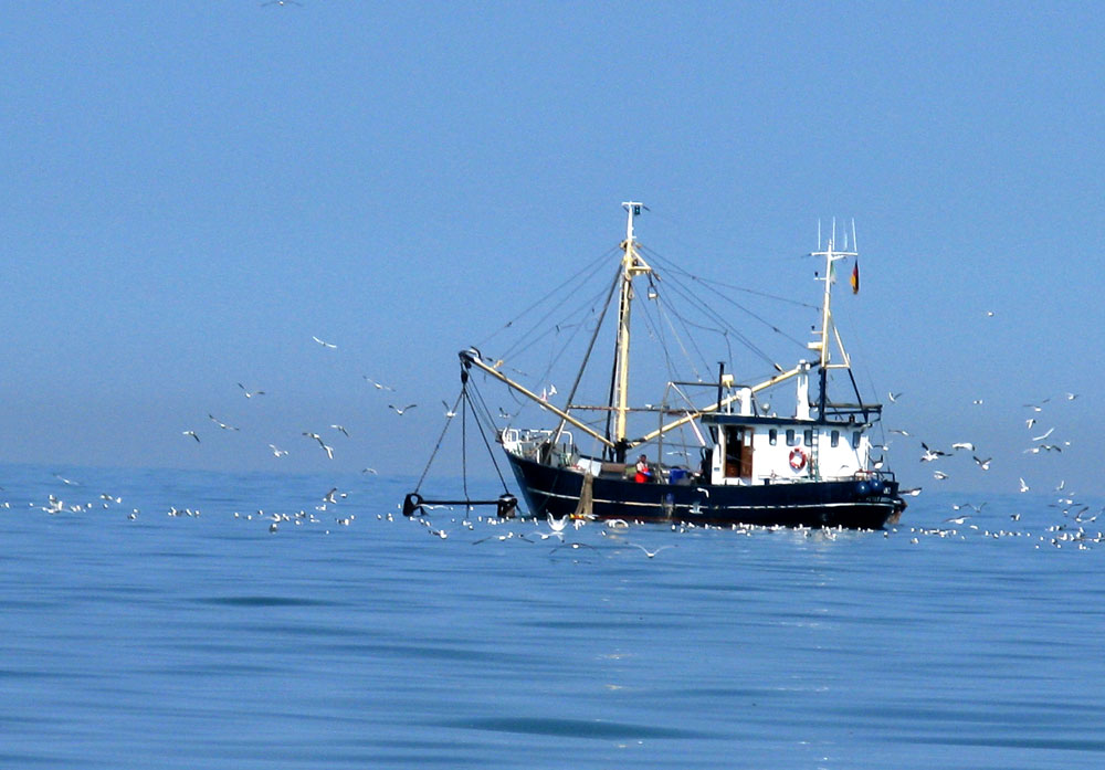 fishing