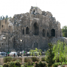 the citadel damascus