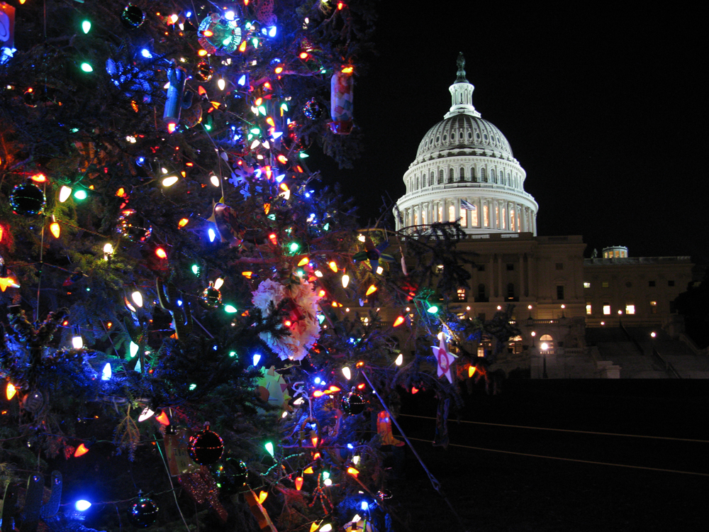 capitol xmas tree