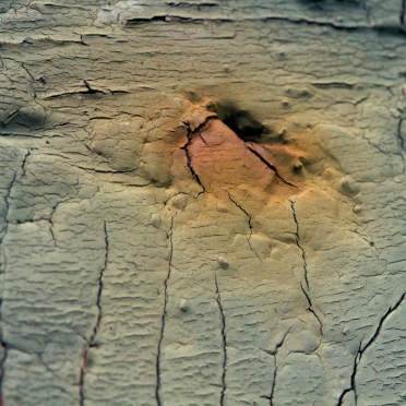 eruption