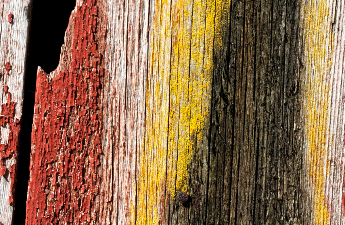 wood
