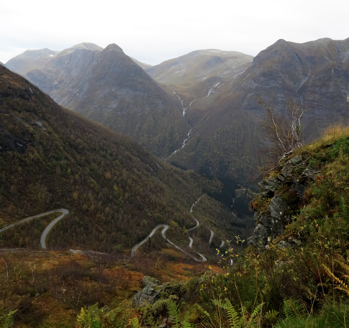 Gaularfjellet