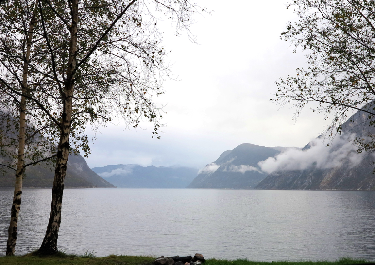 årdalsfjorden