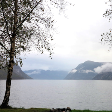 årdalsfjorden