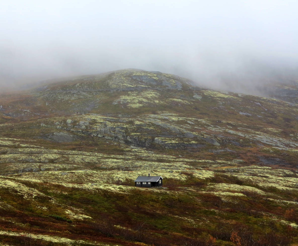 tyedalen