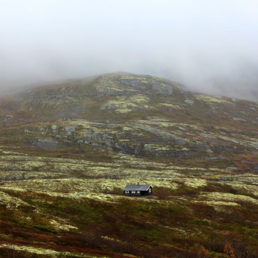 tyedalen
