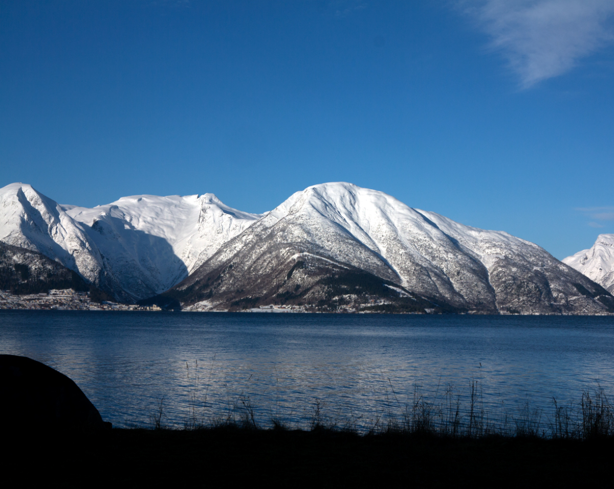 Vik