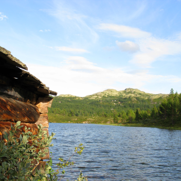 rondane