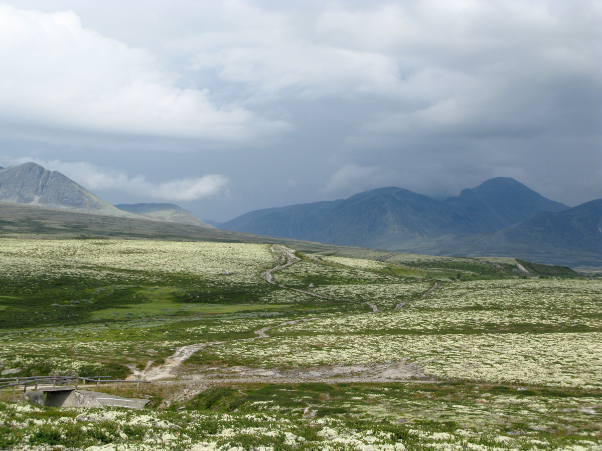 rondane