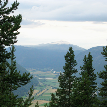 view 