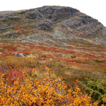 rondane22