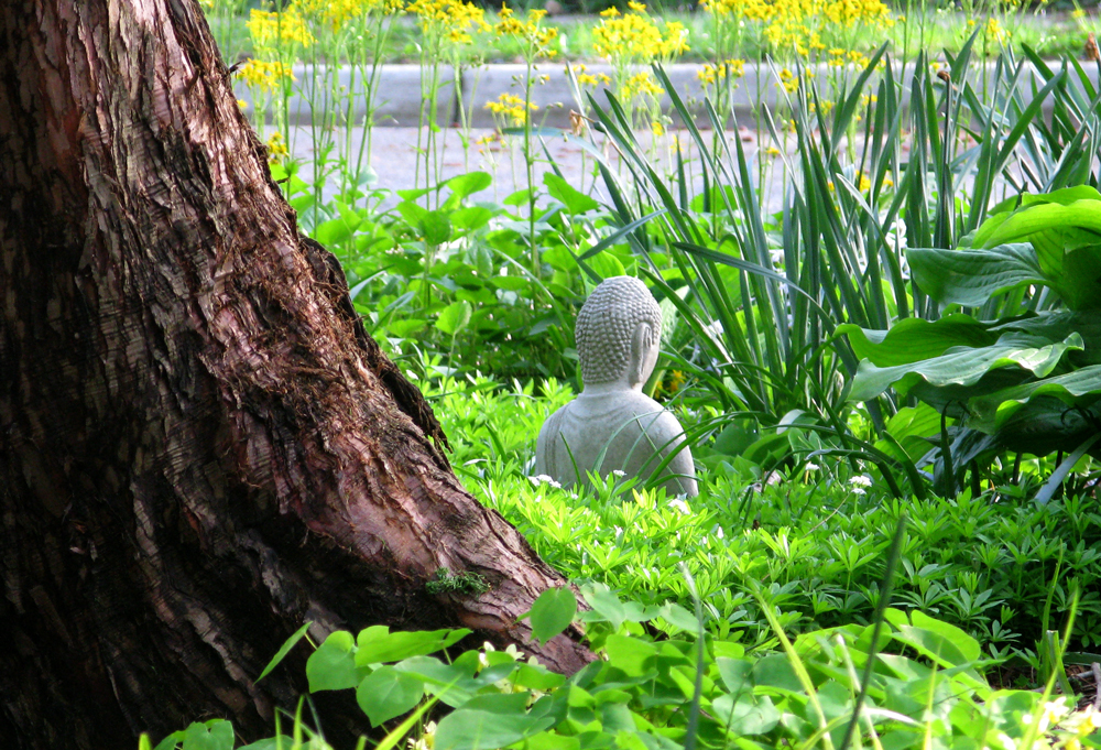 buddha
