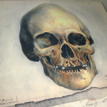 skull drawings