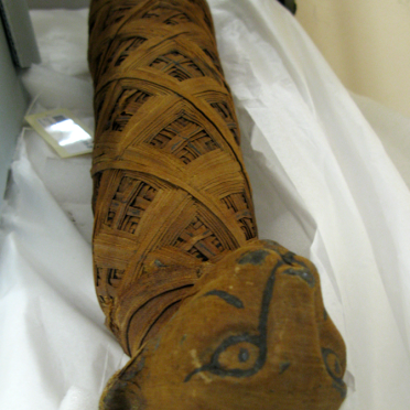 kitty mummy