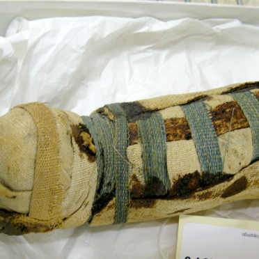cat mummy