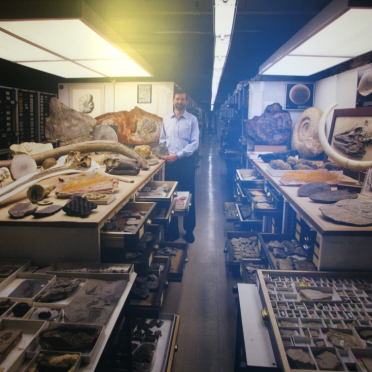paleobiology collection