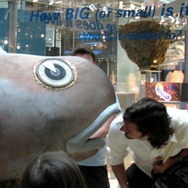 fish