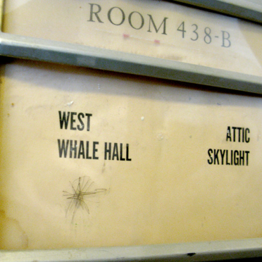west whale hall