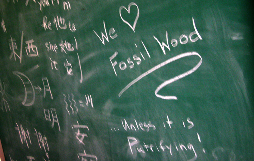 paleobotany