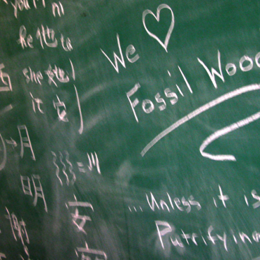 paleobotany