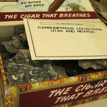 cigars & fossils