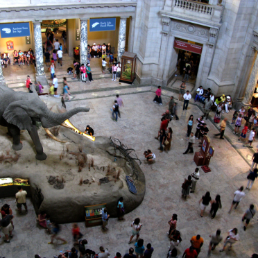 zoo/rotunda